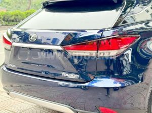 Xe Lexus RX 300 2020