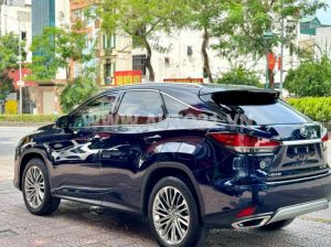 Xe Lexus RX 350 2022