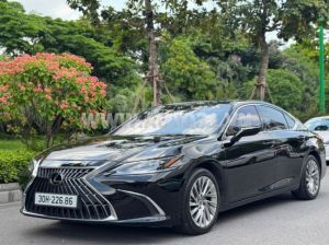 Xe Lexus ES 250 2022