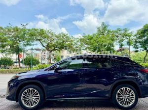 Xe Lexus RX 350 2022