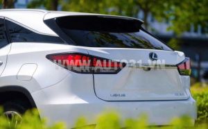 Xe Lexus RX 350 2020
