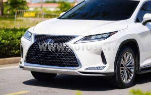 Xe Lexus RX 350 2020
