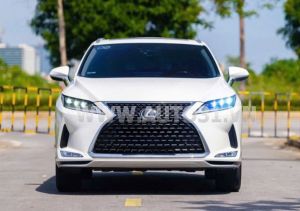 Xe Lexus RX 350 2020