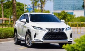 Xe Lexus RX 350 2020