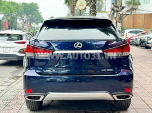 Xe Lexus RX 300 2020