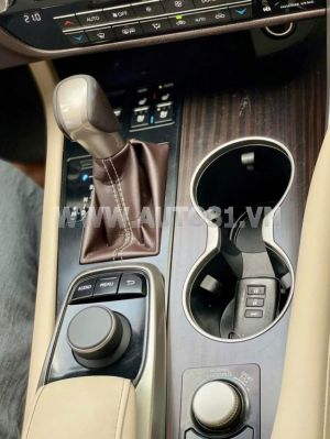 Xe Lexus RX 300 2018
