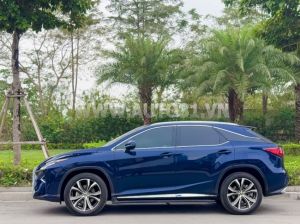 Xe Lexus RX 300 2018