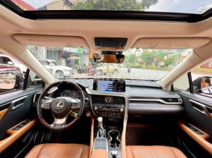 Xe Lexus RX 350 2022