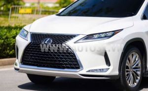 Xe Lexus RX 350 2020