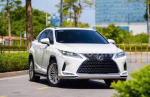 Xe Lexus RX 350 2020