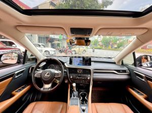 Xe Lexus RX 350 2022