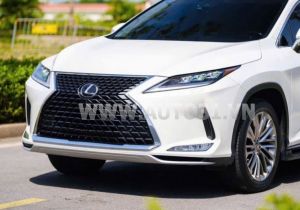 Xe Lexus RX 350 2020