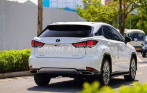 Xe Lexus RX 350 2020