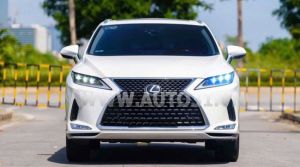 Xe Lexus RX 350 2020