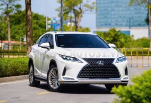 Xe Lexus RX 350 2020
