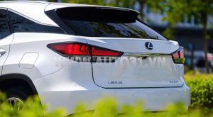 Xe Lexus RX 350 2020