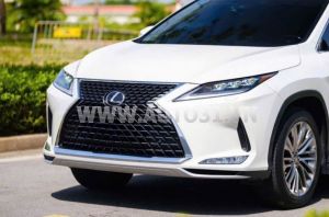 Xe Lexus RX 350 2020