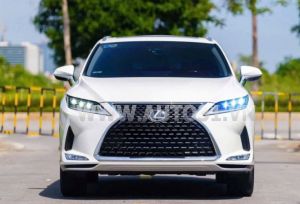 Xe Lexus RX 350 2020