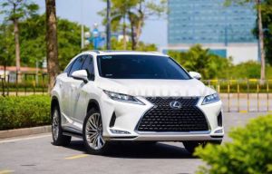 Xe Lexus RX 350 2020
