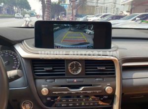 Xe Lexus RX 350 2020