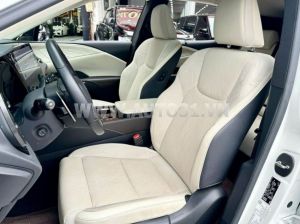 Xe Lexus RX 350 Luxury 2023