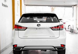 Xe Lexus RX 300 2022
