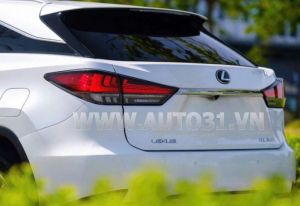 Xe Lexus RX 350 2020