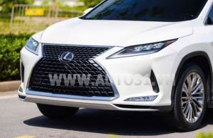 Xe Lexus RX 350 2020