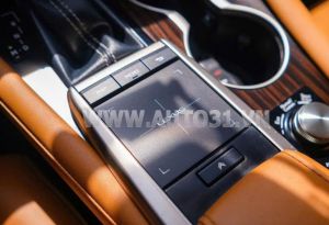 Xe Lexus RX 350 2020