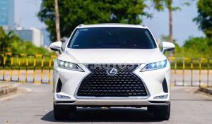 Xe Lexus RX 350 2020
