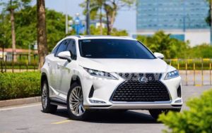 Xe Lexus RX 350 2020