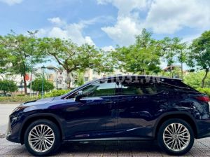 Xe Lexus RX 350 2022
