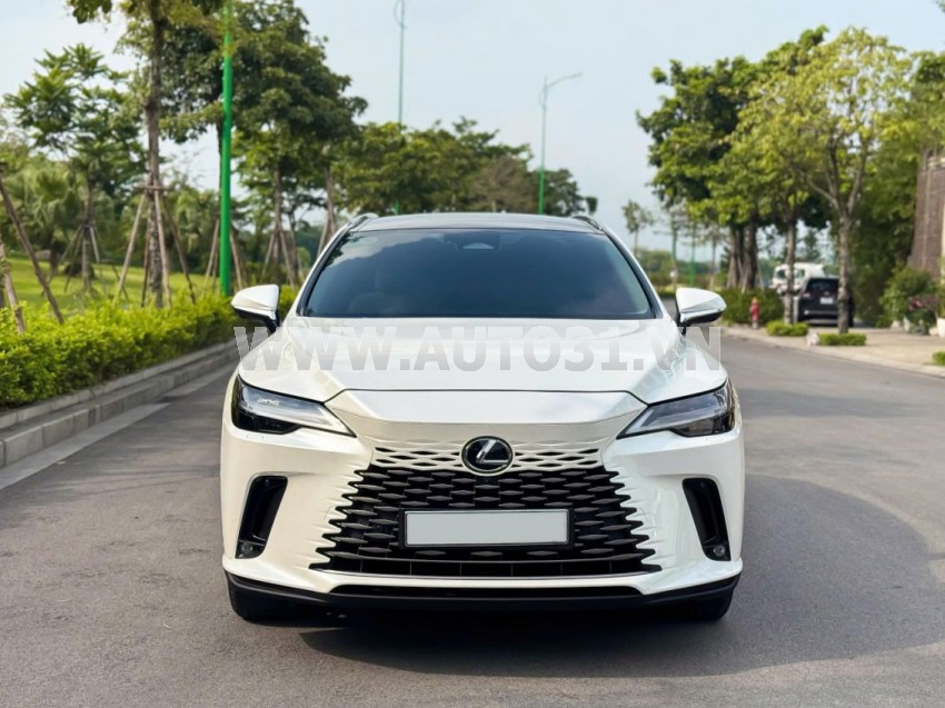 Lexus RX 350 Luxury 2023