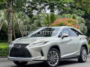 Xe Lexus RX 300 2021
