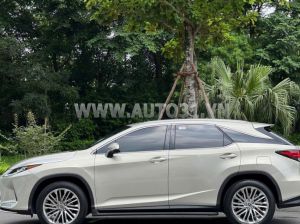 Xe Lexus RX 300 2021