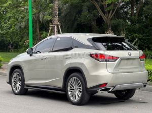 Xe Lexus RX 300 2021