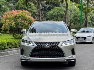 Xe Lexus RX 300 2021