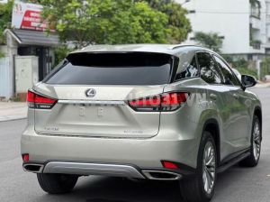 Xe Lexus RX 300 2021