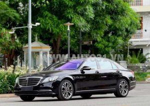 Xe Mercedes Benz S class S450L Luxury 2019