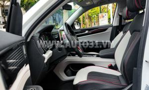 Xe Volkswagen Teramont X Platinum 2.0 AT 2025