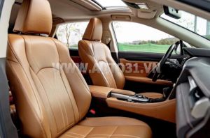 Xe Lexus RX 350 2019