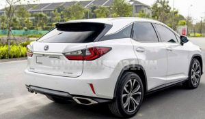 Xe Lexus RX 350 2019
