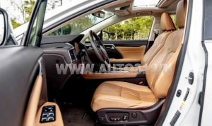 Xe Lexus RX 350 2019