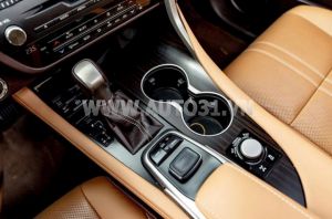 Xe Lexus RX 350 2019