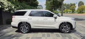 Xe Hyundai Palisade Prestige 2.2 AT HTRAC 2024