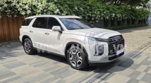 Xe Hyundai Palisade Prestige 2.2 AT HTRAC 2024