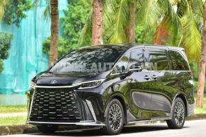 Xe Lexus LM 500h 2025