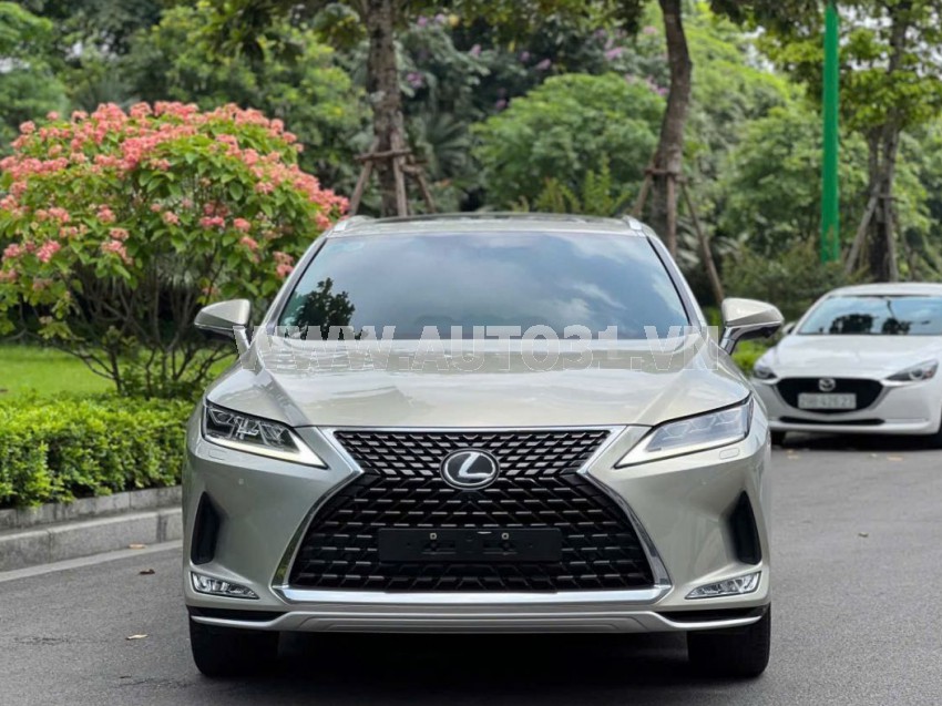Lexus RX 300 2021