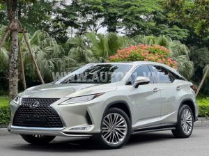 Xe Lexus RX 300 2021