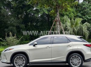 Xe Lexus RX 300 2021